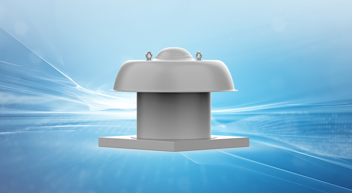 DWT系列轴流式屋顶风机